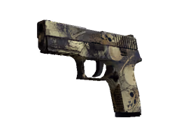 P250 | Contamination (Field-Tested)